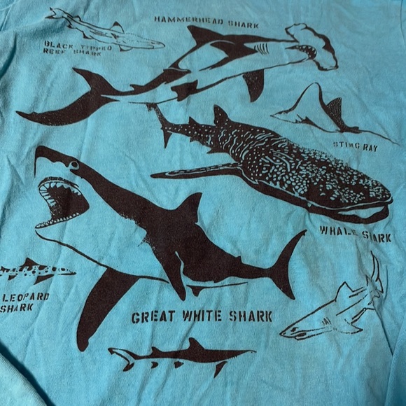 Boys size M gap ocean shark themed graphic long sleeve tee - Picture 2 of 3
